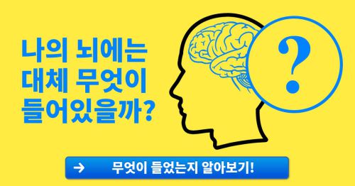 나의 뇌에는 대체 무엇이 들어있을까?