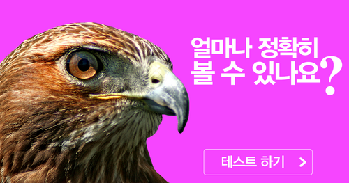 동체시력 테스트