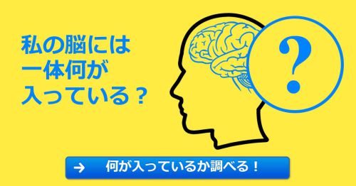 私の脳には一体何が入ってる？