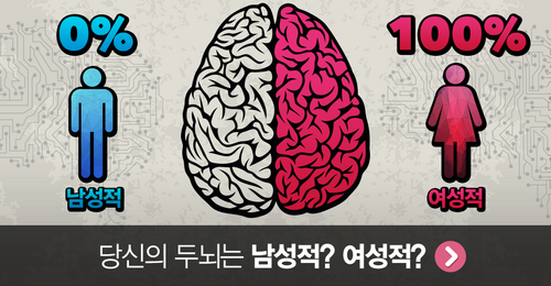 당신의 두뇌는 남성적? 여성적?