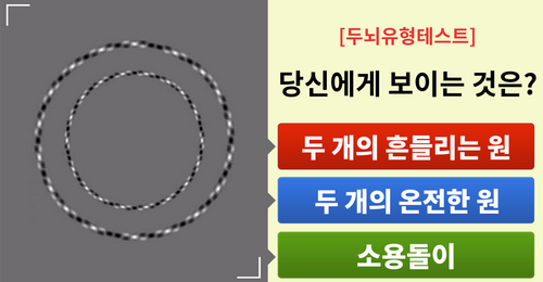 이 이미지로 당신의 두뇌유형을 파악해보세요!
