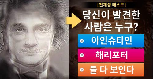 [천재성 테스트] 당신은 어떤 사람이 보이시나요!?