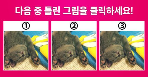 앗! 세상에 이런 틀린그림찾기가..