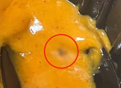 배달 음식에서 벌레가 나왔다고 속여 305차례에 걸쳐 770만원이 넘는 음식값을 환불 받은 20대 대학생이 실형을 선고 받았다. YTN 뉴스 캡처