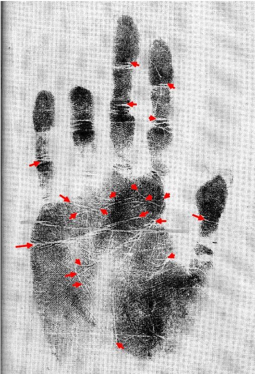 천여불수반수기앙이 속 손바닥 도장