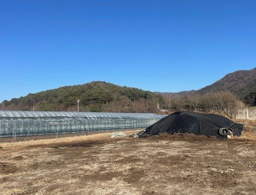 [양산=뉴시스] 양산시가 최근 낙동강에서 발생하고 있는 녹조 확산에 대응하기 위해 다양한 대책을 마련하고 있다. 사진은 야적퇴비처리 후. (사진=양산시 제공) 2025.09.03. photo@newsis.com *재판매 및 DB 금지