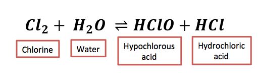 출처=스터디닷컴(study.com)