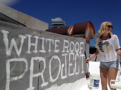출처=www.whiteroofproject.org