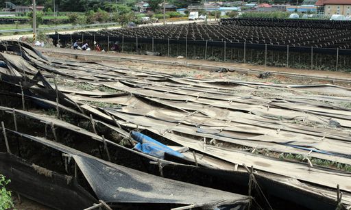 지난 9일 오후 물이 빠진 충남 금산군 부리면 평촌리에서 농민들이 보수 작업을 하고 있다. 연합뉴스