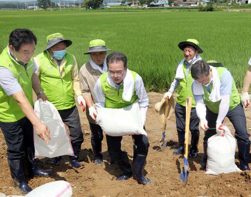 13일 경기 이천 집중호우 피해 현장을 찾은 이성희 농협중앙회장이 임직원들과 수해복구 작업을 하고 있다.