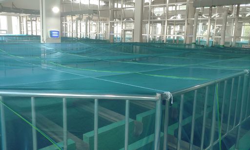 인천 부평구와 계양구 일대에 수돗물을 공급하고 있는 부평정수장 내 고도정수처리시설인 활성탄 여과지 상부가 대형 방충망으로 덮여 있다.