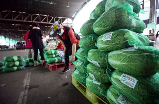 16일 서울 송파구 가락동농수산물도매시장에서 시민들이 배추를 구입하고 있다. 연합뉴스