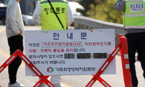 강원 화천군의 한 양돈 농가에서 아프리카돼지열병(ASF) 발생이 확인된 9일 오전 해당 농가에서 방역당국 관계자들이 해당 농장 입구를 통제하고 있다. 연합뉴스