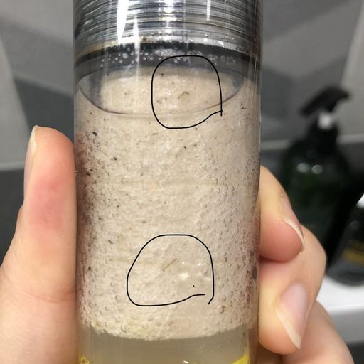 지난 20일 밤 서귀포시 대포동 한 주택 샤워기 필터에서 발견된 유충. 연합뉴스