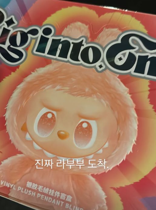 최근 전 세계적으로 인기를 끌고 있는 중국 캐릭터 인형 ‘라부부’(LABUBU) 가품 사기를 당한 가수 이영지의 사연이 대만 뉴스에까지 보도돼 화제다. 이후 라부부 인형을 다시 구매한 이영지. 인스타그램 캡처