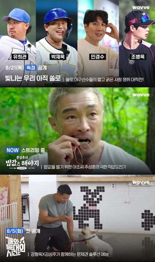 사진=먼슬리 웨이브