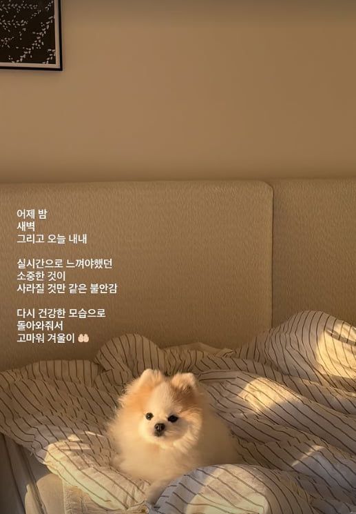 사진=이솔이 SNS 캡처