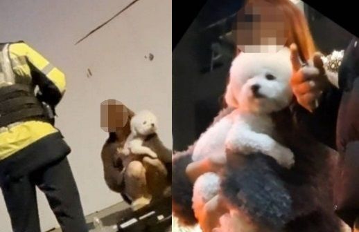 음주운전 사망 사고를 낸 후 강아지를 안고 있는 가해 운전자 안씨 / 온라인 커뮤니티 갈무리