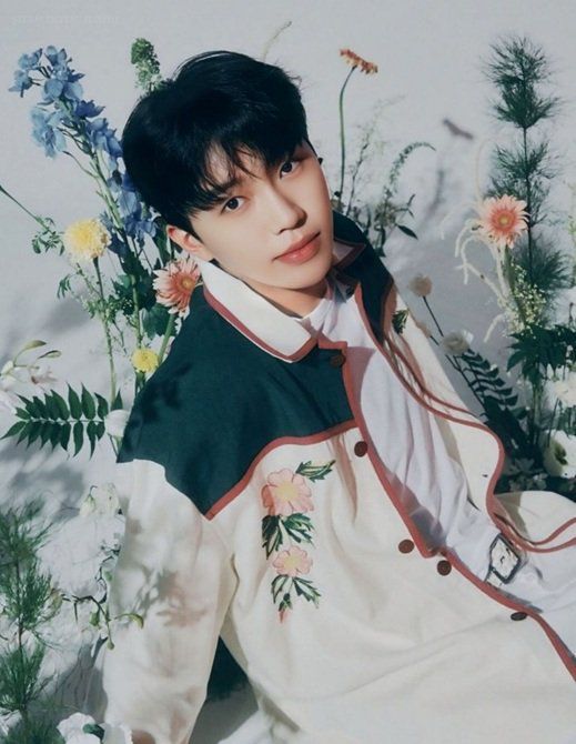 가수 임영웅. 물고기뮤직 제공