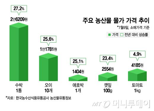 주요 농산물 물가 가격 추이/그래픽=김지영