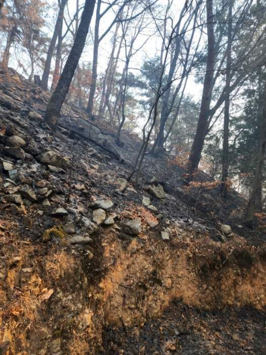 불에 탄 운화리성지[사진=국가유산청 제공]