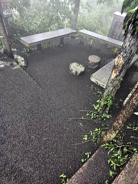 계양산 정상 부근 쉼터에 쌓인 러브벌레 모습 ⓒ엑스(X, 옛 트위터)