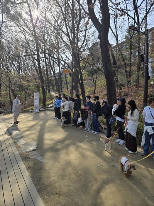 < 사진 제공 : 미앤펫 >