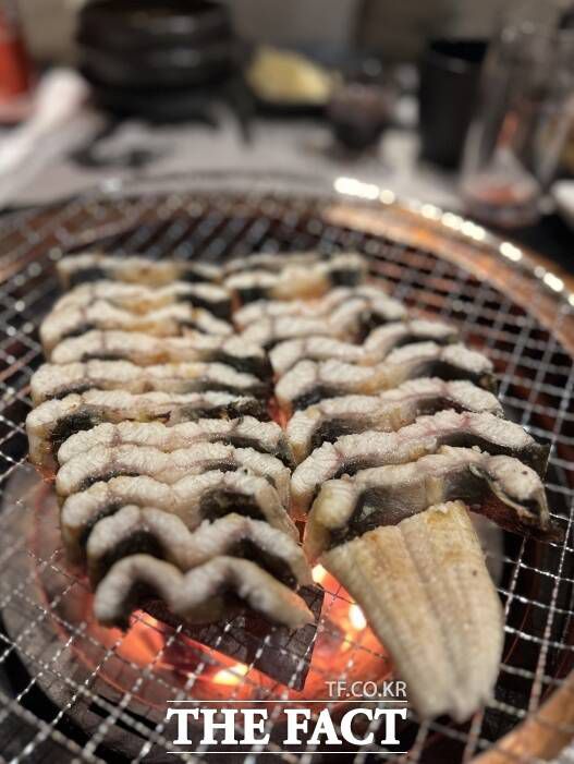 세계 5대 갯벌 중 하나인 강화 갯벌에서 자란 '강화갯벌장어'. /인천관광공사