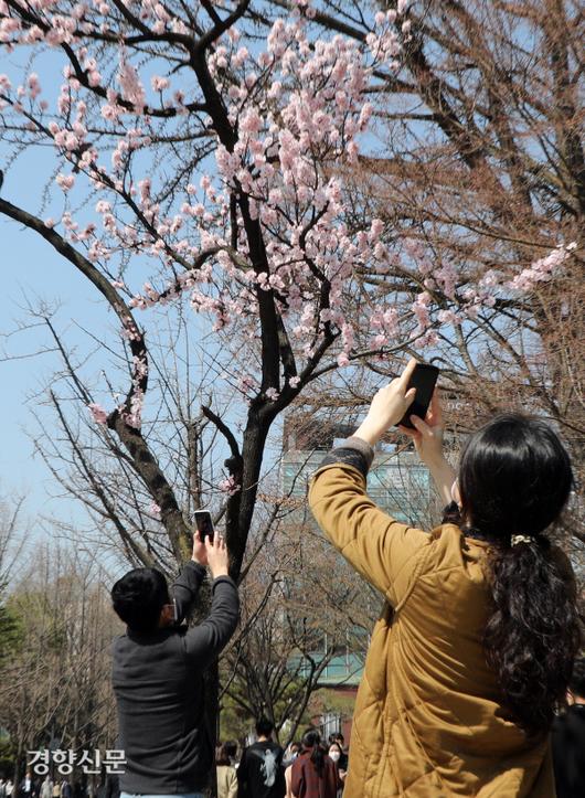 경향신문