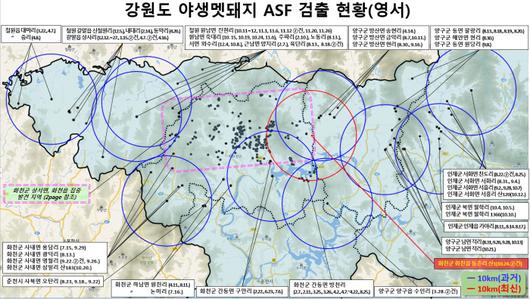 경향신문