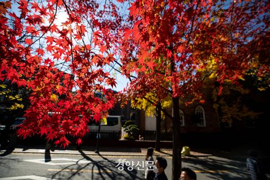 경향신문