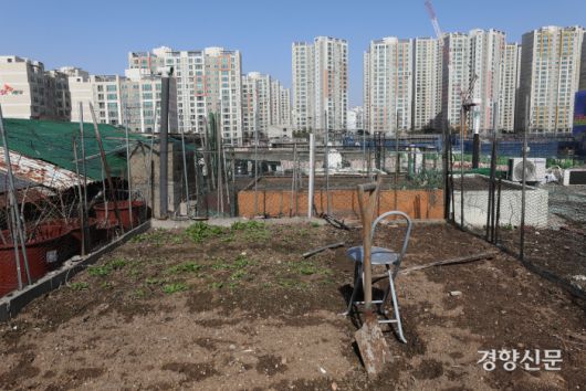 좌원상가아파트 옥상에 있는 텃밭. / 권도현 기자