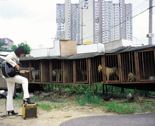 경향신문