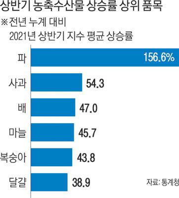 경향신문