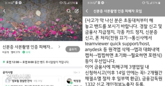 신분증 사본 유출로 금융사기피해를 당한 사람들이 모인 단체 대화방. 지난 9월 21일 기준 379명의 피해자가 모였다. 박정경씨 제공