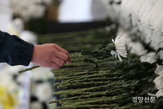 지난 6일 서울 용산구 녹사평역 인근에 마련된 합동분향소를 찾은 시민이 국화 한 송이를 놓고 있다. 권도현 기자