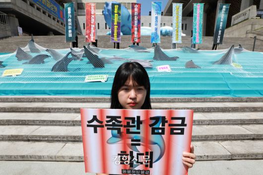 환경·동물단체 활동가들이 바다의 날인 31일 서울 종로구 세종문화회관 앞에서 전국 5개 수족관의 21마리 돌고래 방류를 요구하는 기자회견을 하고 있다.