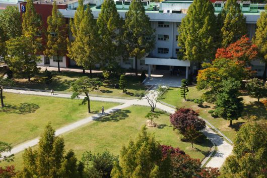 영화 <쎄시봉>을 촬영한 사범대학 잔디광장. 한남대 제공