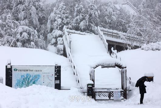 경향신문