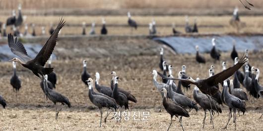 경향신문