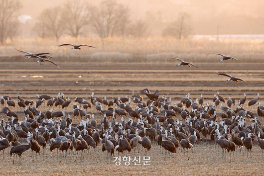 경향신문