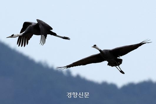 경향신문