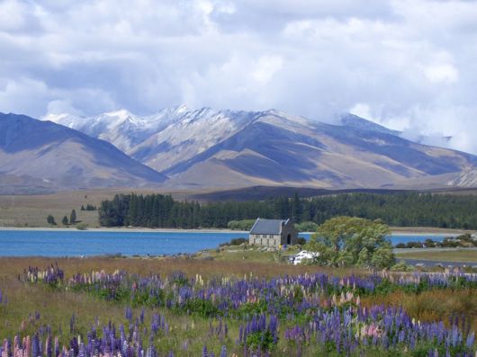 뉴질랜드 테카포 호수. 스카이스캐너 제공