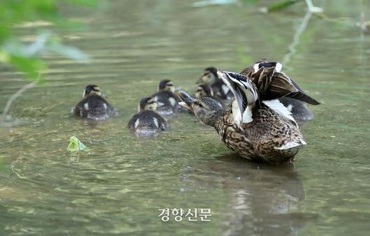 경향신문