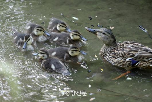 경향신문