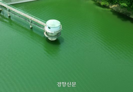 경향신문