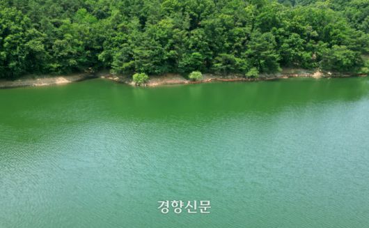 경향신문