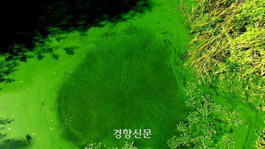 경향신문