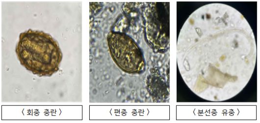 경향신문