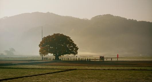 경향신문